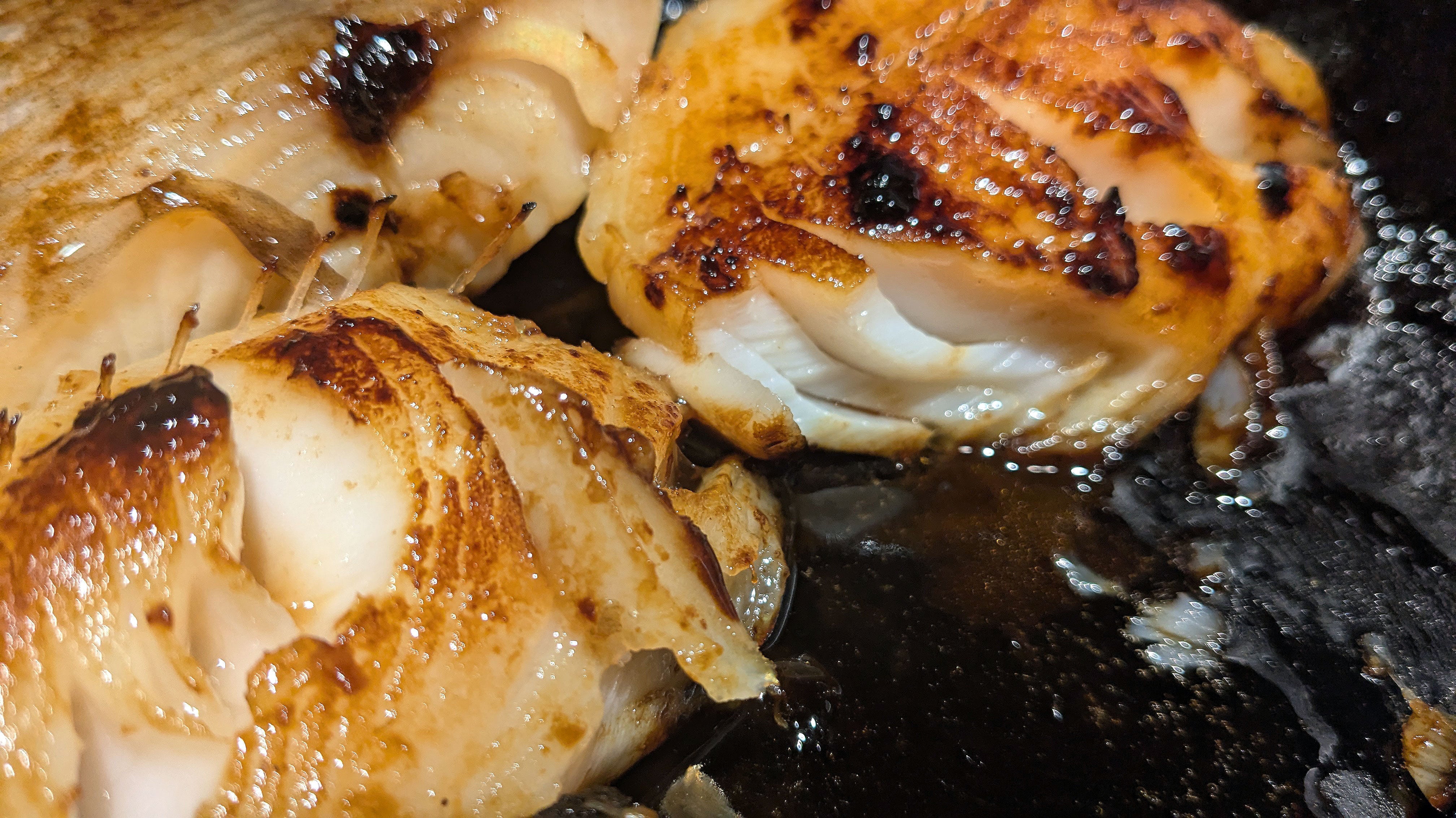 Blackened Miso Cod