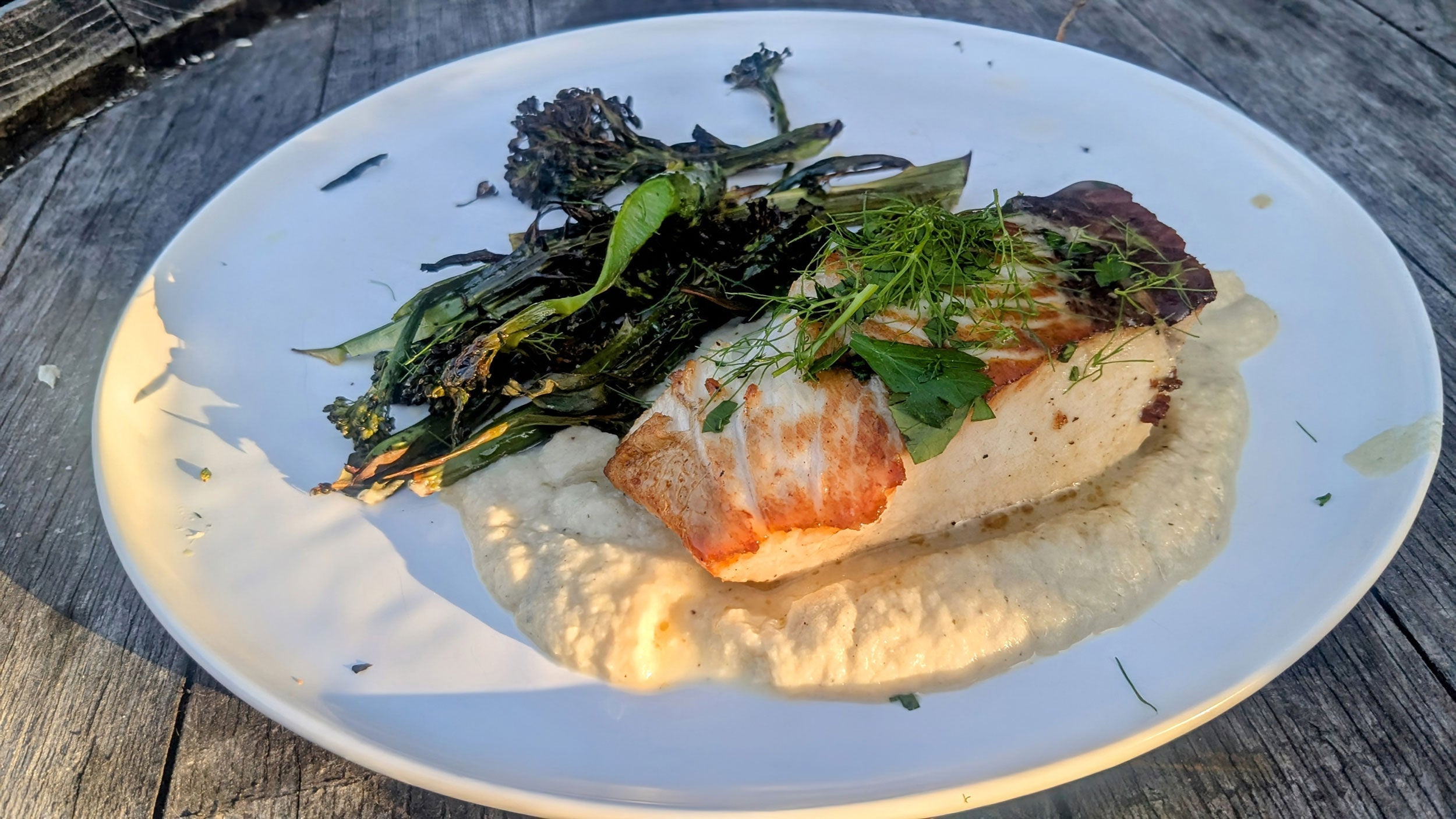 Pan Roasted Yellowtail with Fennel Purée and Meyer Lemon Beurre Blanc