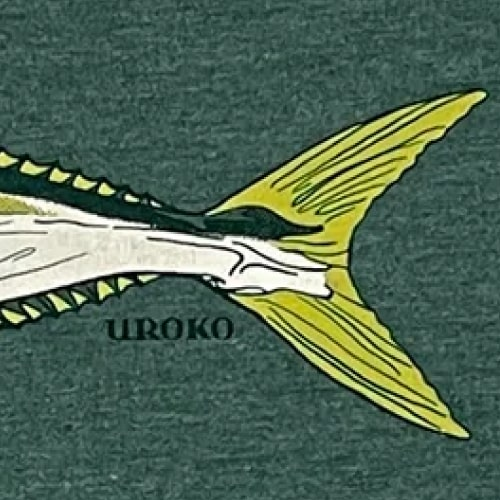 http://uroko.com/cdn/shop/collections/fish-collection_1200x1200.png?v=1699022763