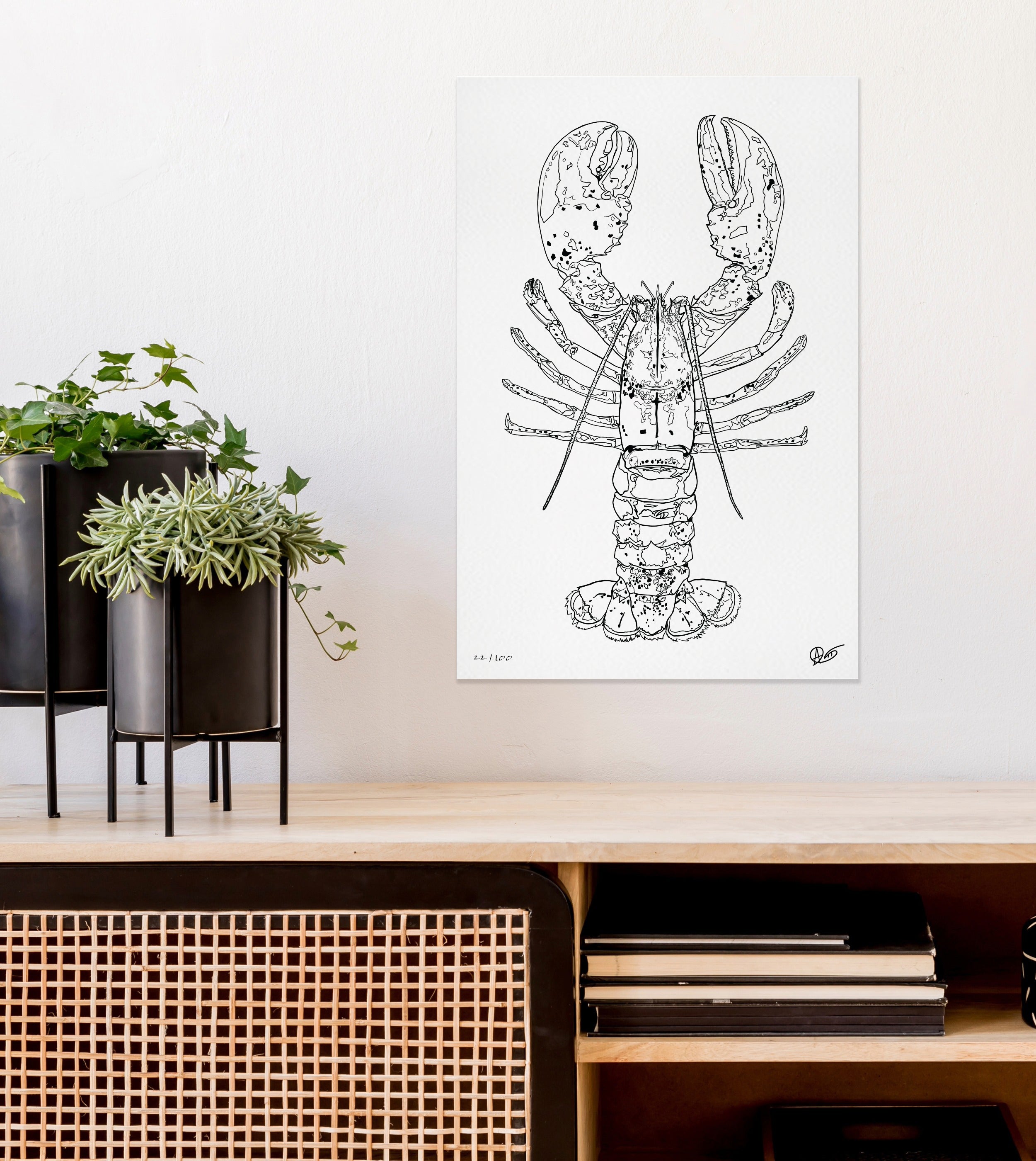 Black and white lobster illustration on a wall above a wooden shelf with plants and books.