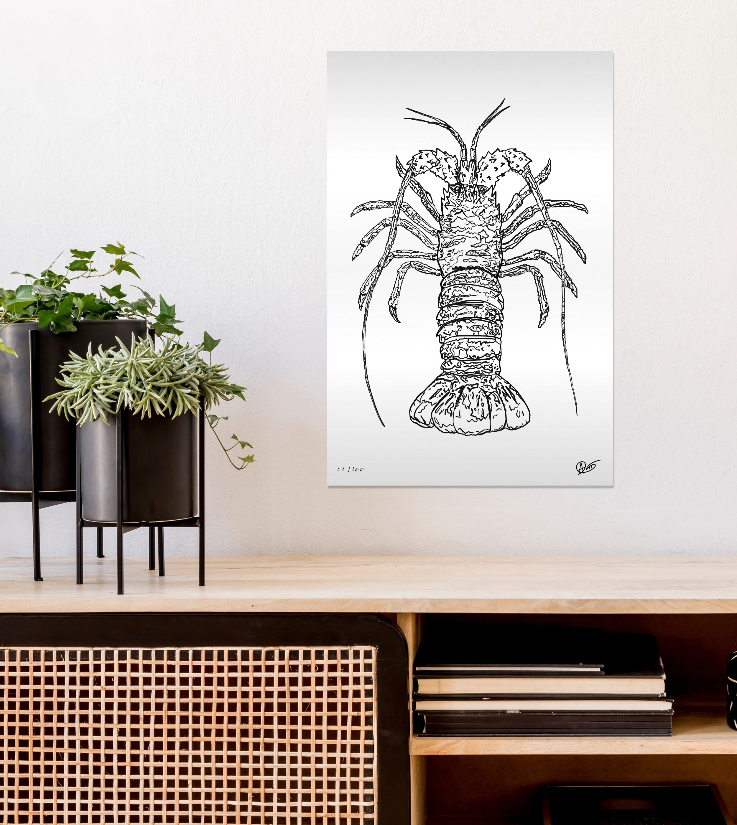 Framed black and white lobster illustration on a wall above a wooden shelf with plants and books.