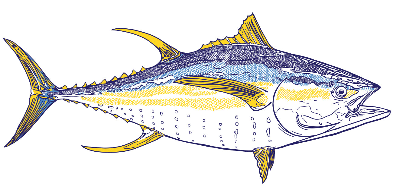 Illustration of a  yellowfin tuna on a white background