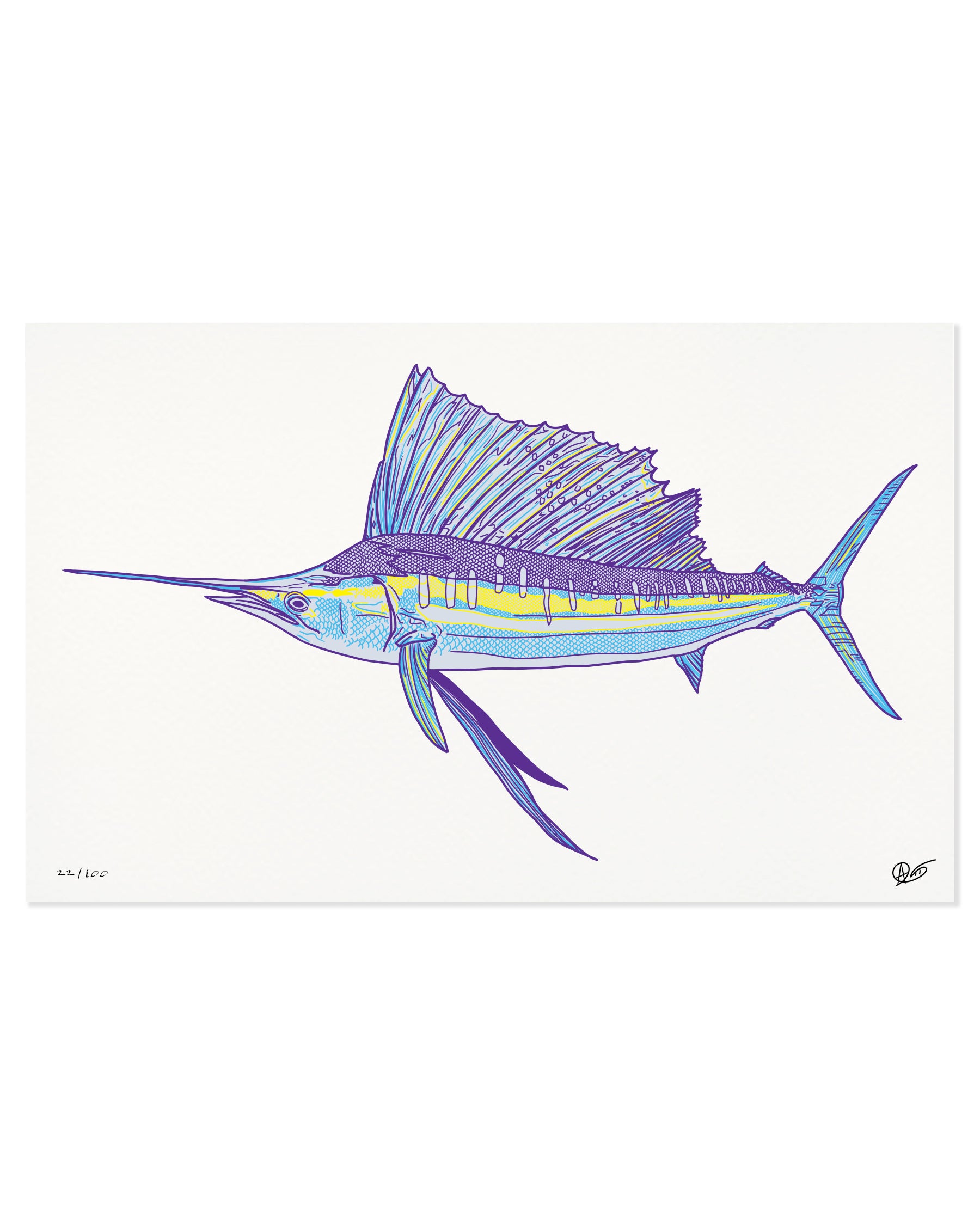 Limited Edition Sailfish Canvas Print