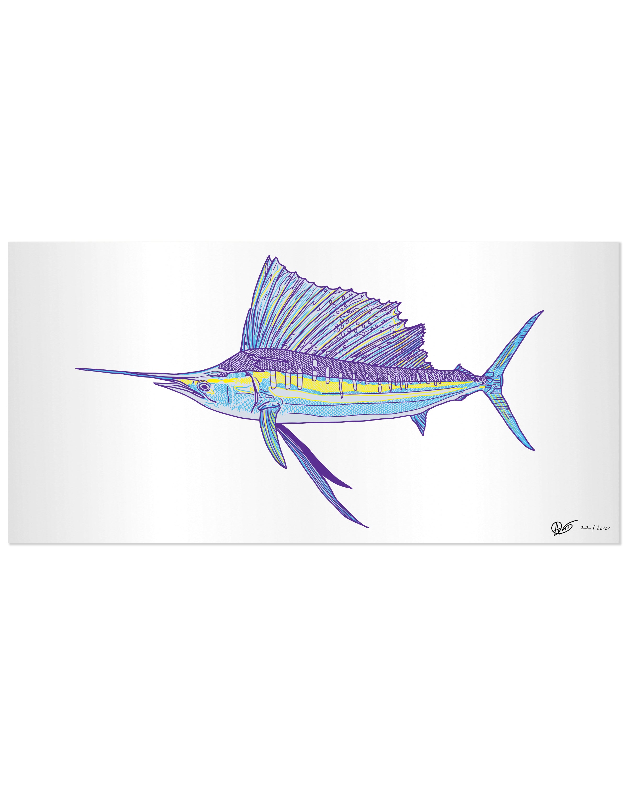 Limited Edition Sailfish Metal Print