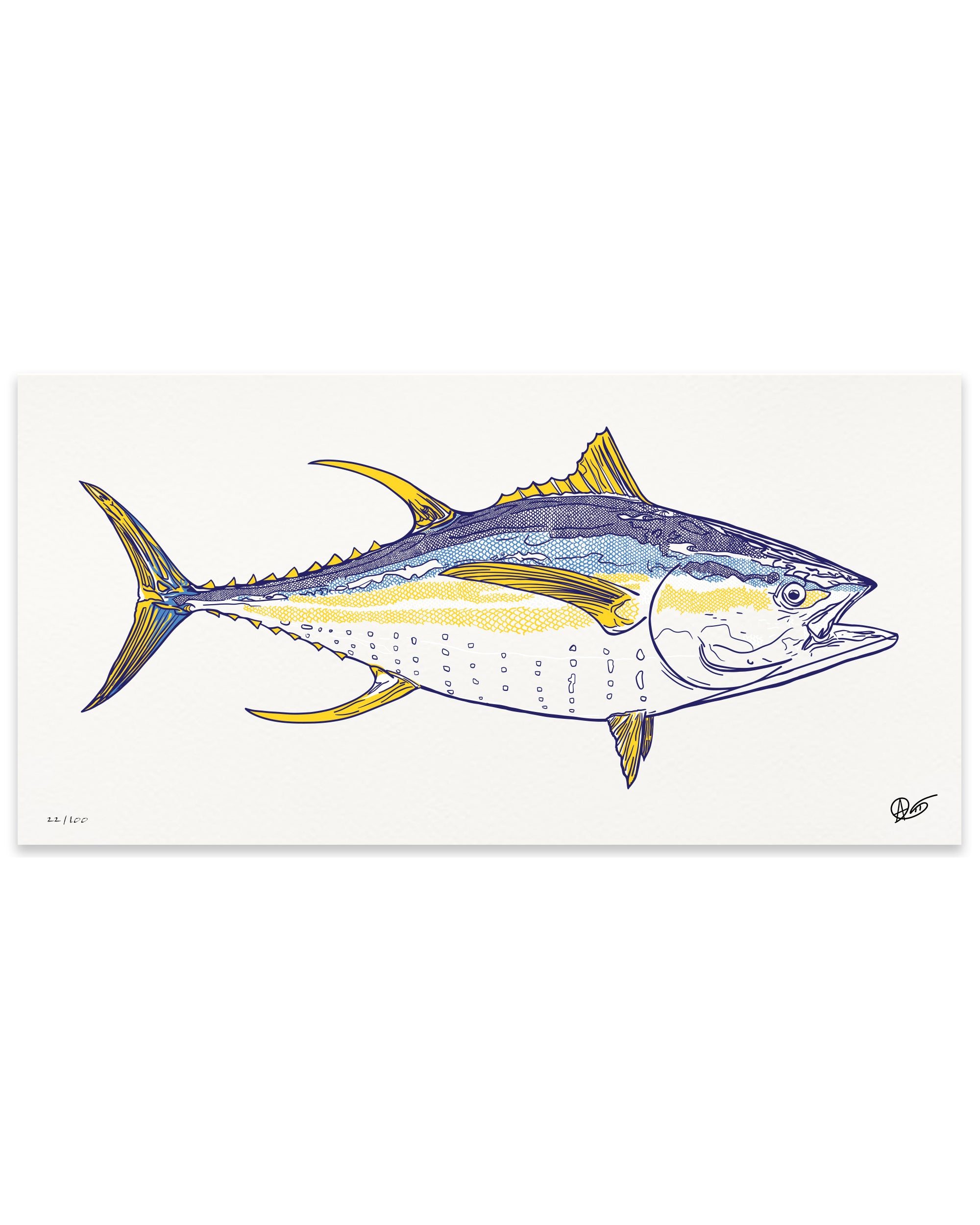 Limited Edition Yellowfin Canvas Print