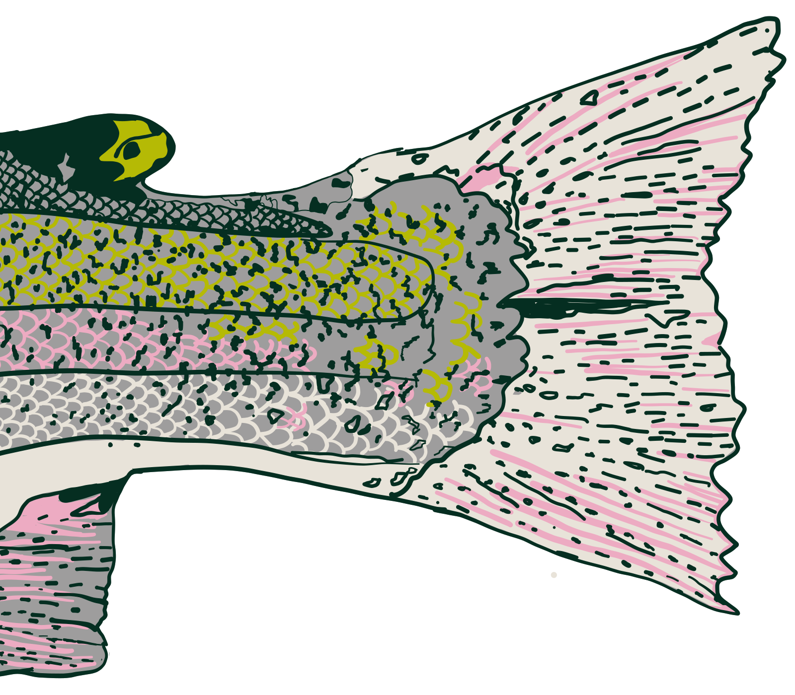 Details of rainbow trout artwork