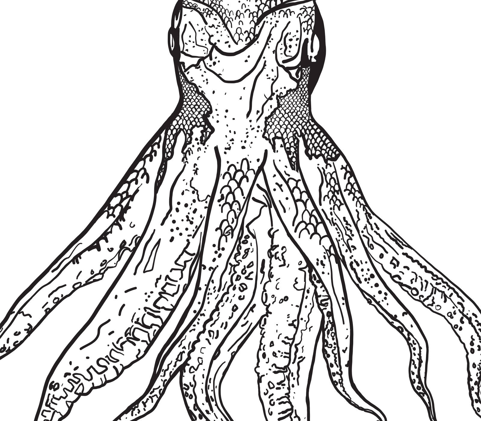 Details of squid artwork