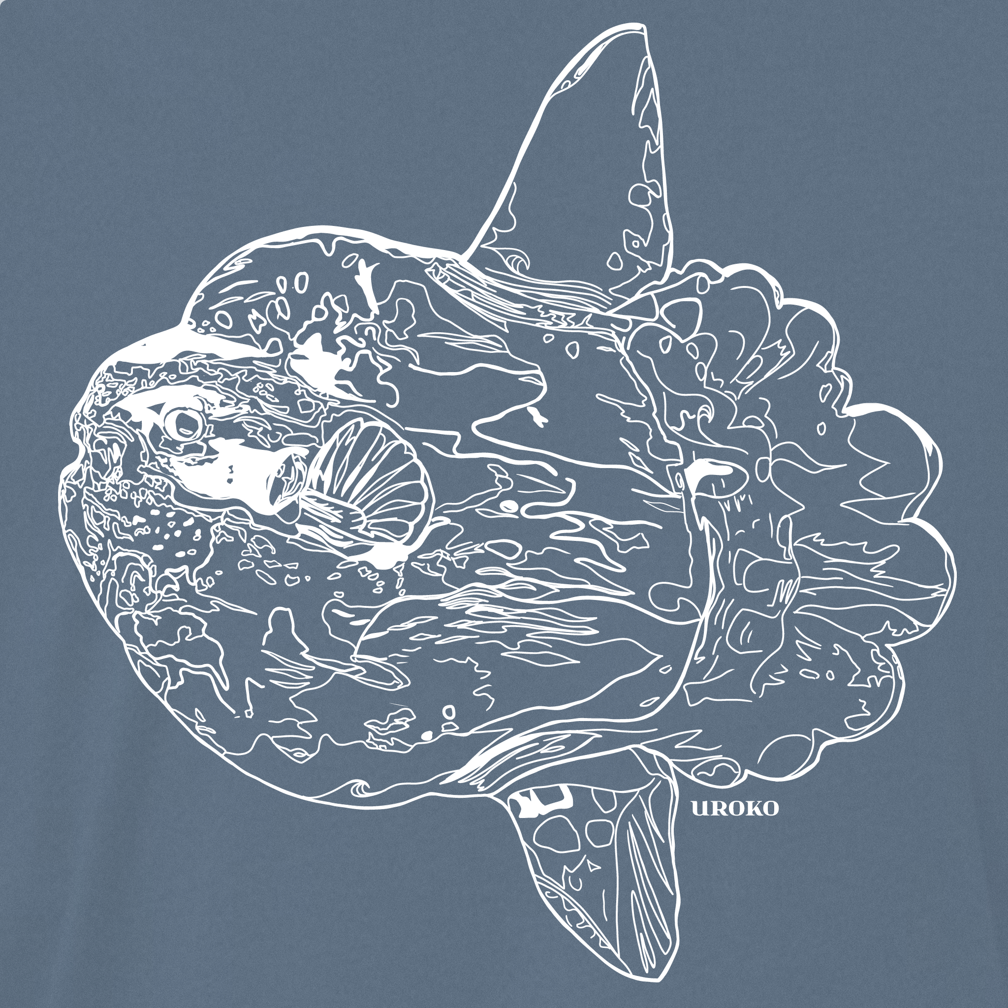 White line drawing of a Mola Mola on a blue background