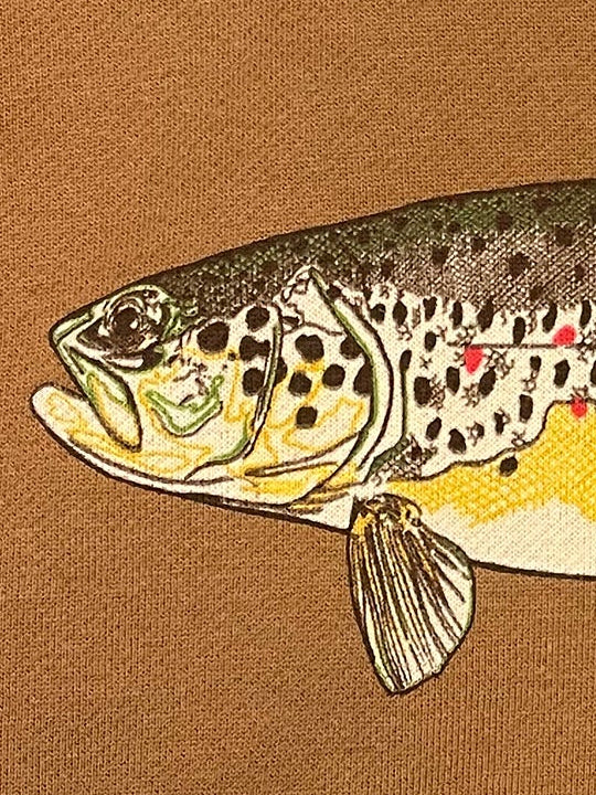 Fish Collection