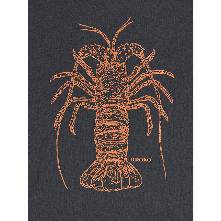 Spiny Lobster Artwork