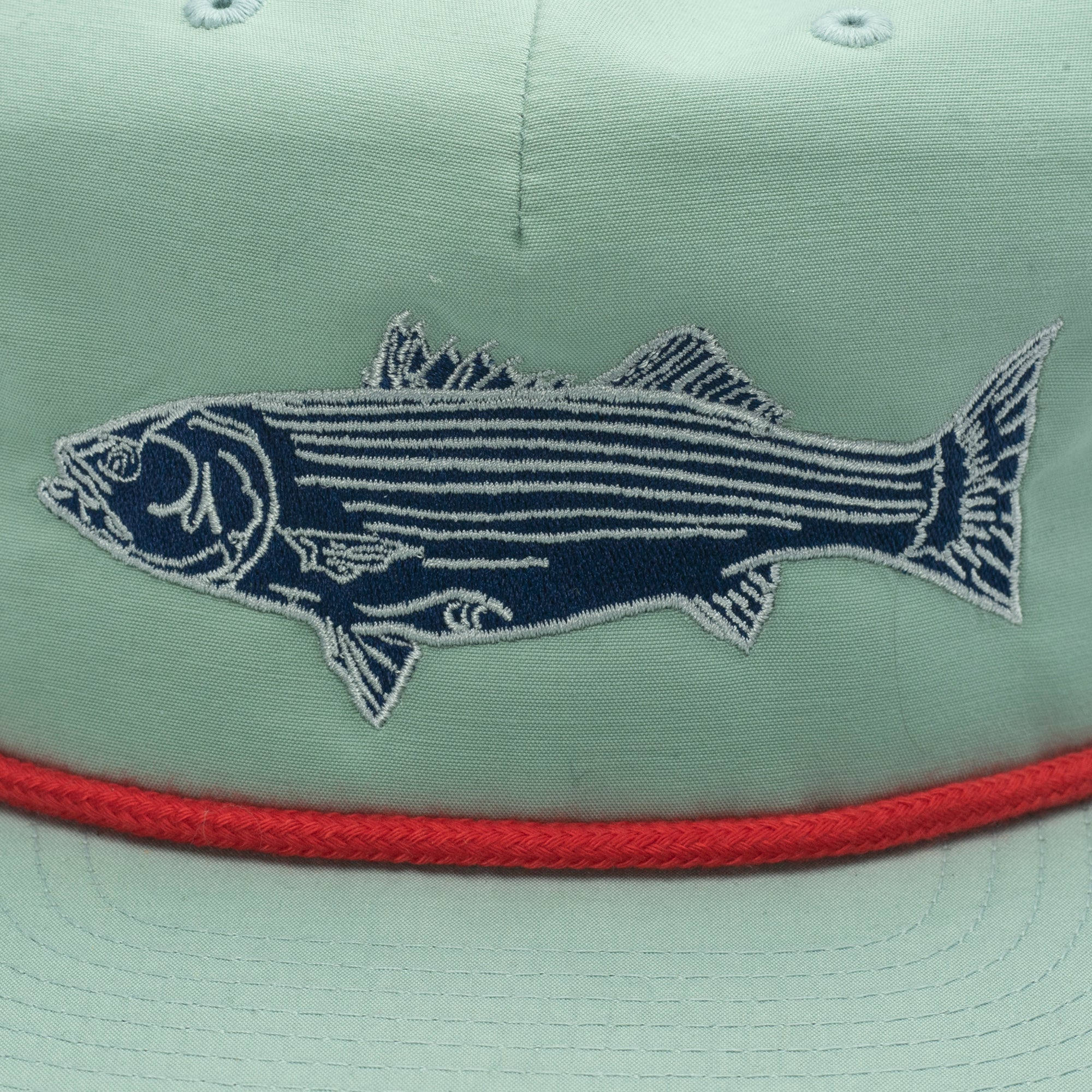 Striped Bass Artwork