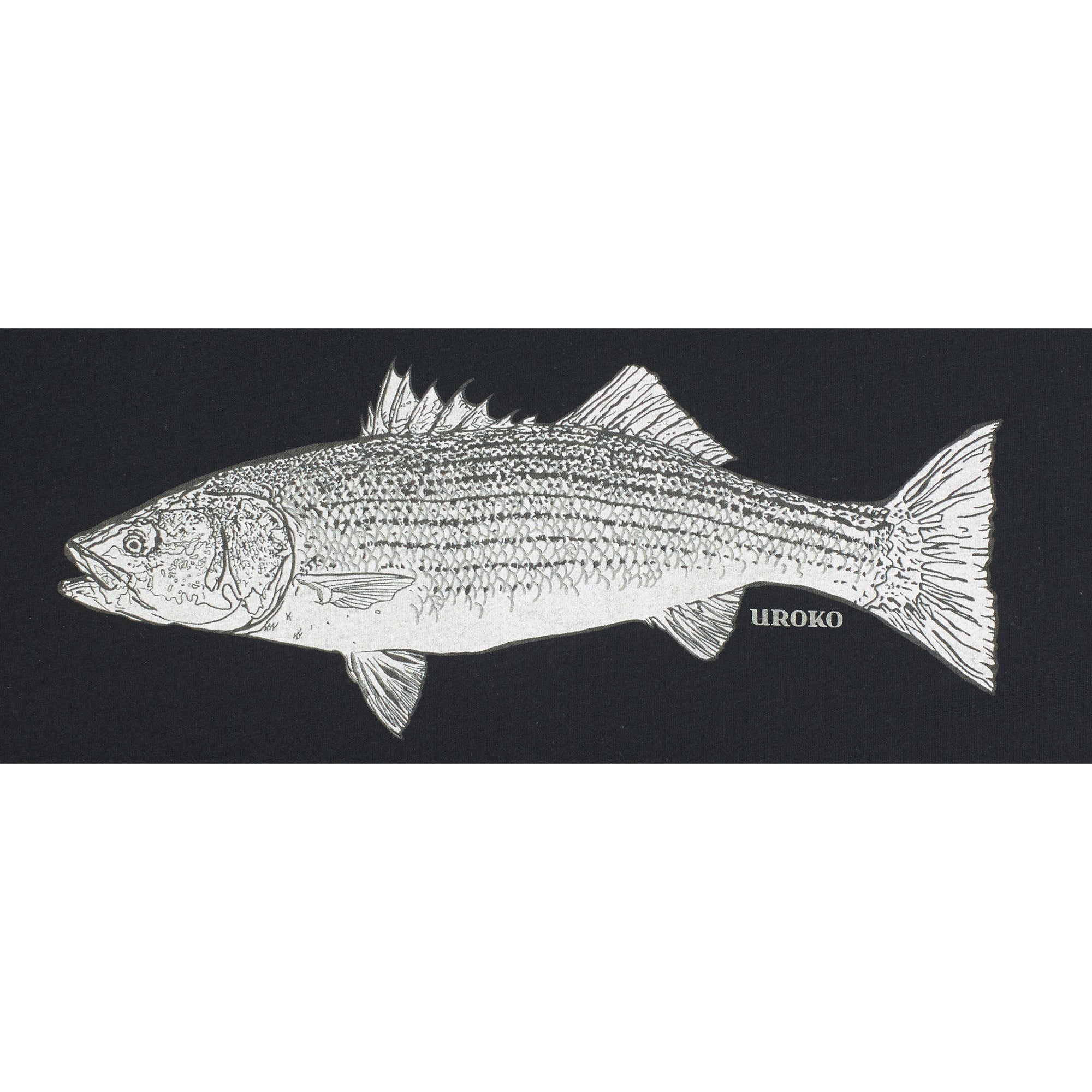 Striped Bass Artwork