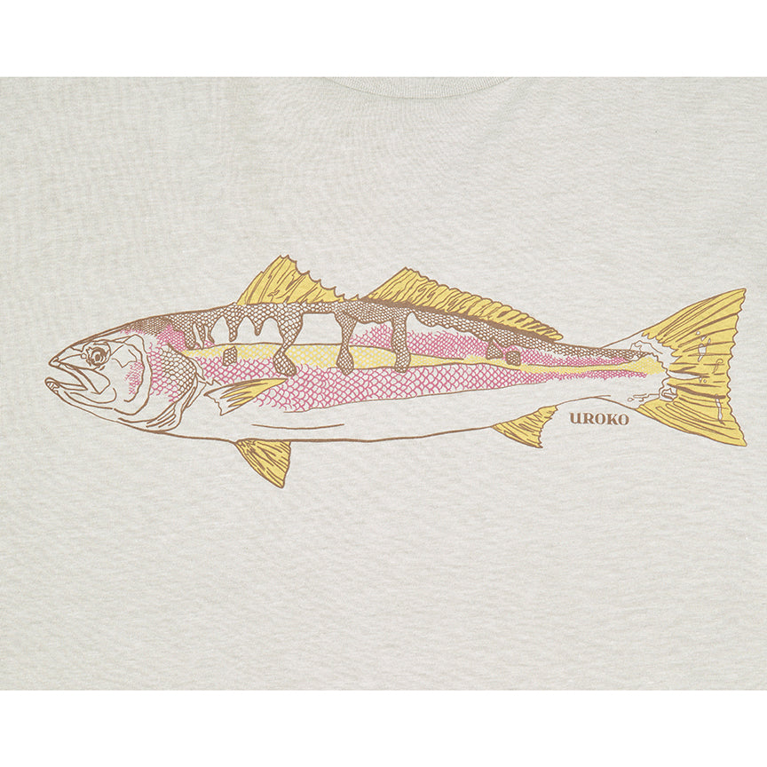 White Sea Bass Artwork