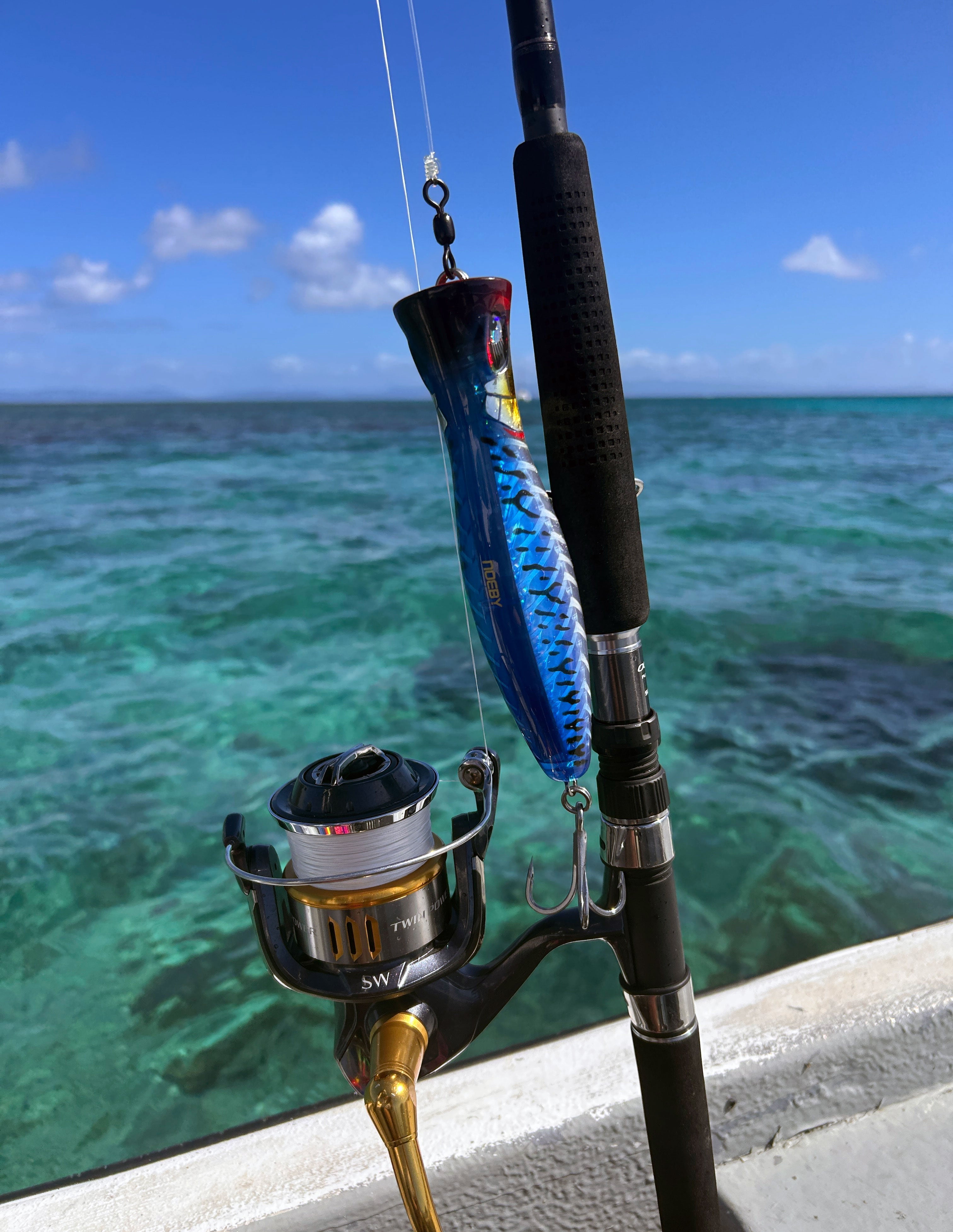 Chasing Dreams in the South Pacific