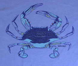 Blue Crab Anatomy T Shirt, Chesapeake Bay Shirt, Crab Fishing Shirt, Marine  Biologist Shirt, Blue Crab Art, Original Blue Crab Drawing -  Norway