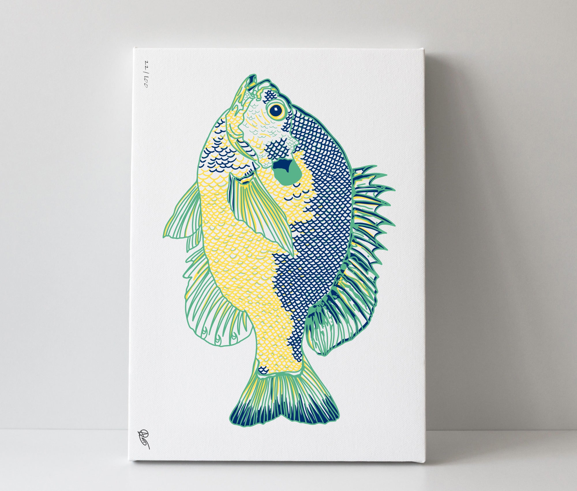 Canvas print of a Bluegill fish on a white background