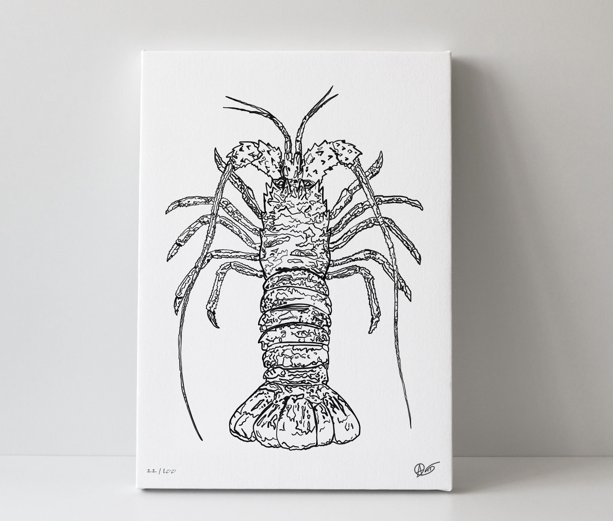 Canvas print with a black line drawing of a spiny lobster on a white background