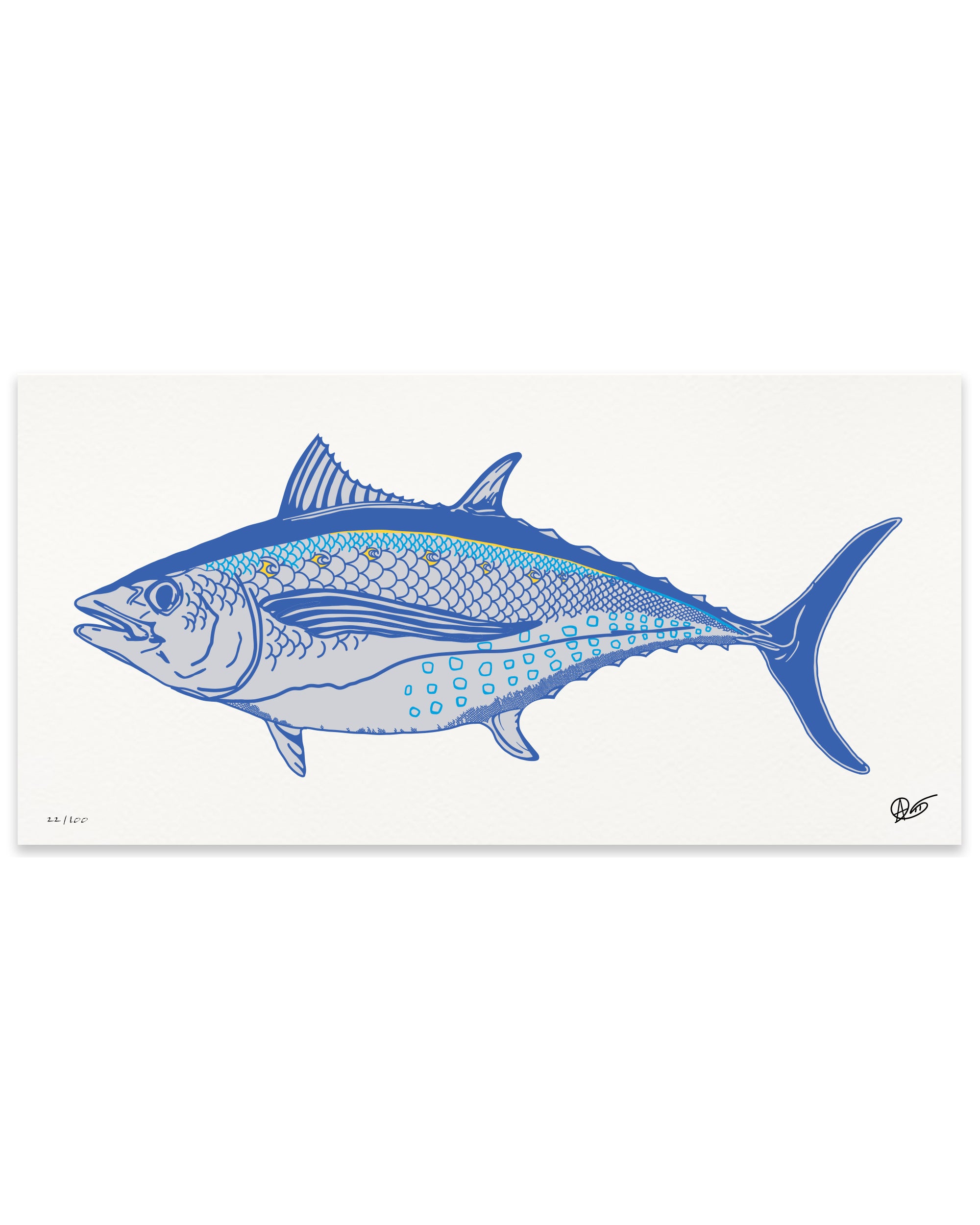 Limited Edition Albacore Canvas Print