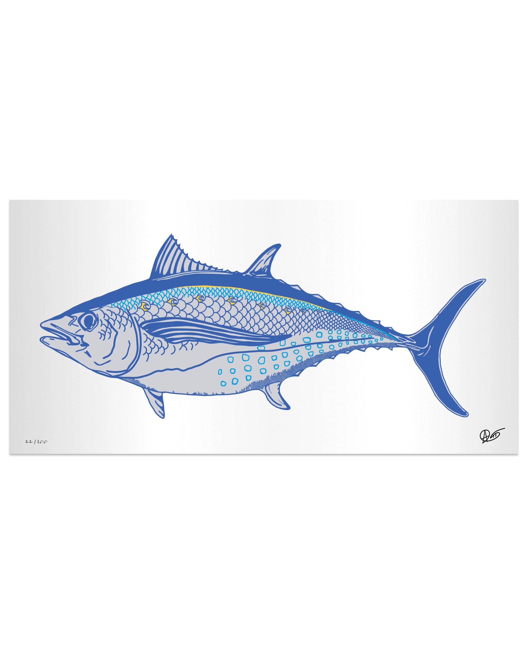 Limited Edition Albacore Metal Print