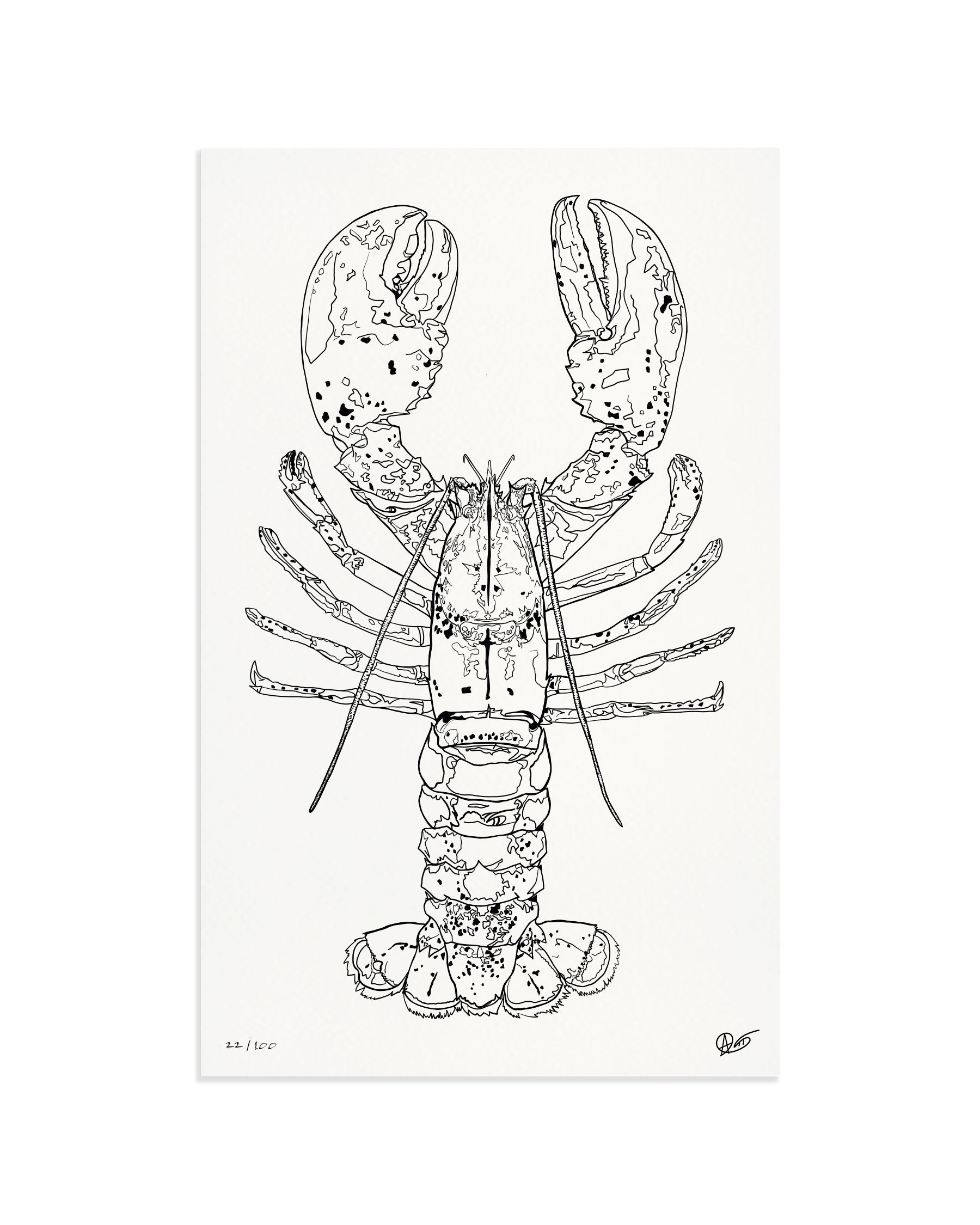 Limited Edition Lobster Canvas Print