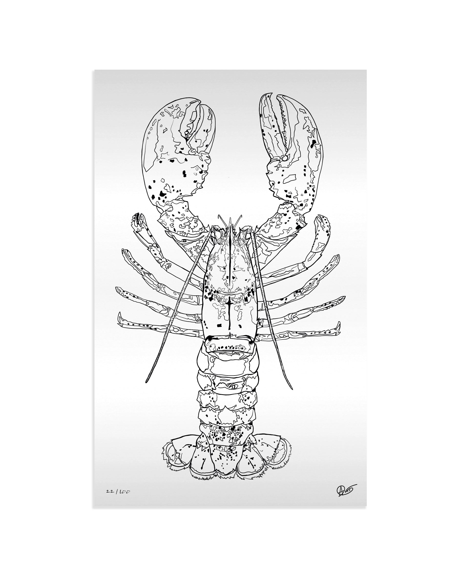Limited Edition Lobster Metal Print