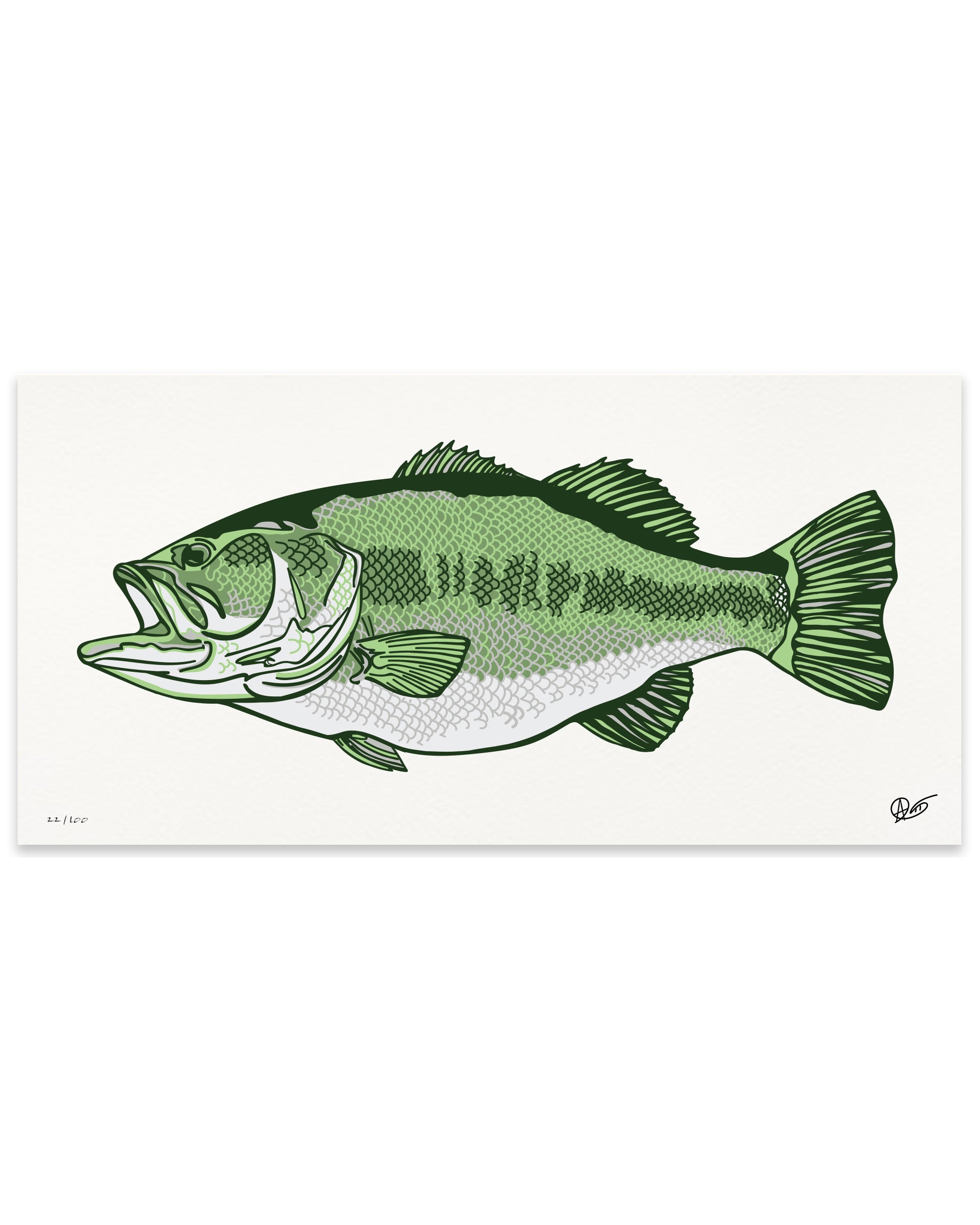 Limited Edition Largemouth Bass Canvas Print