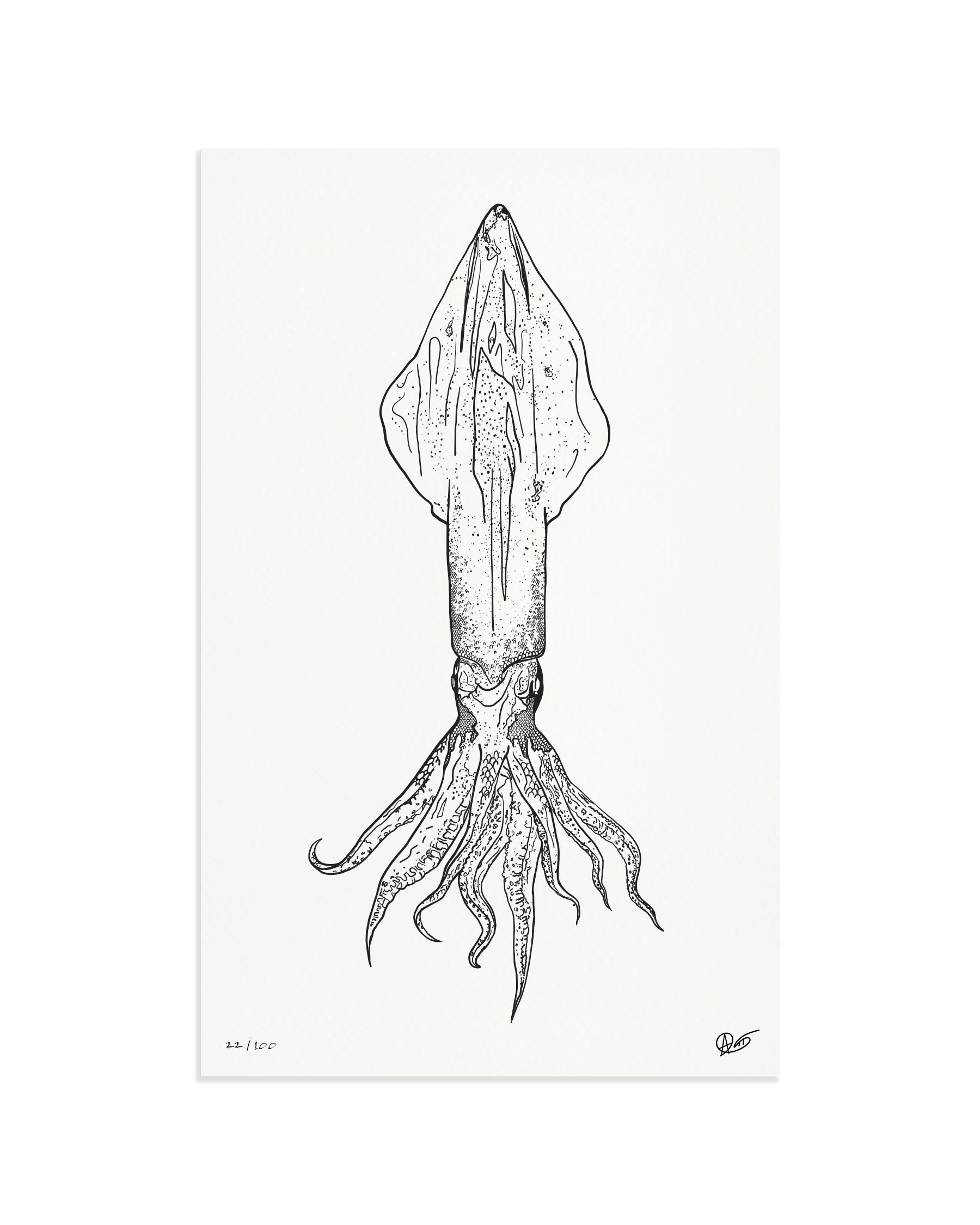 Limited Edition Squid Canvas Print