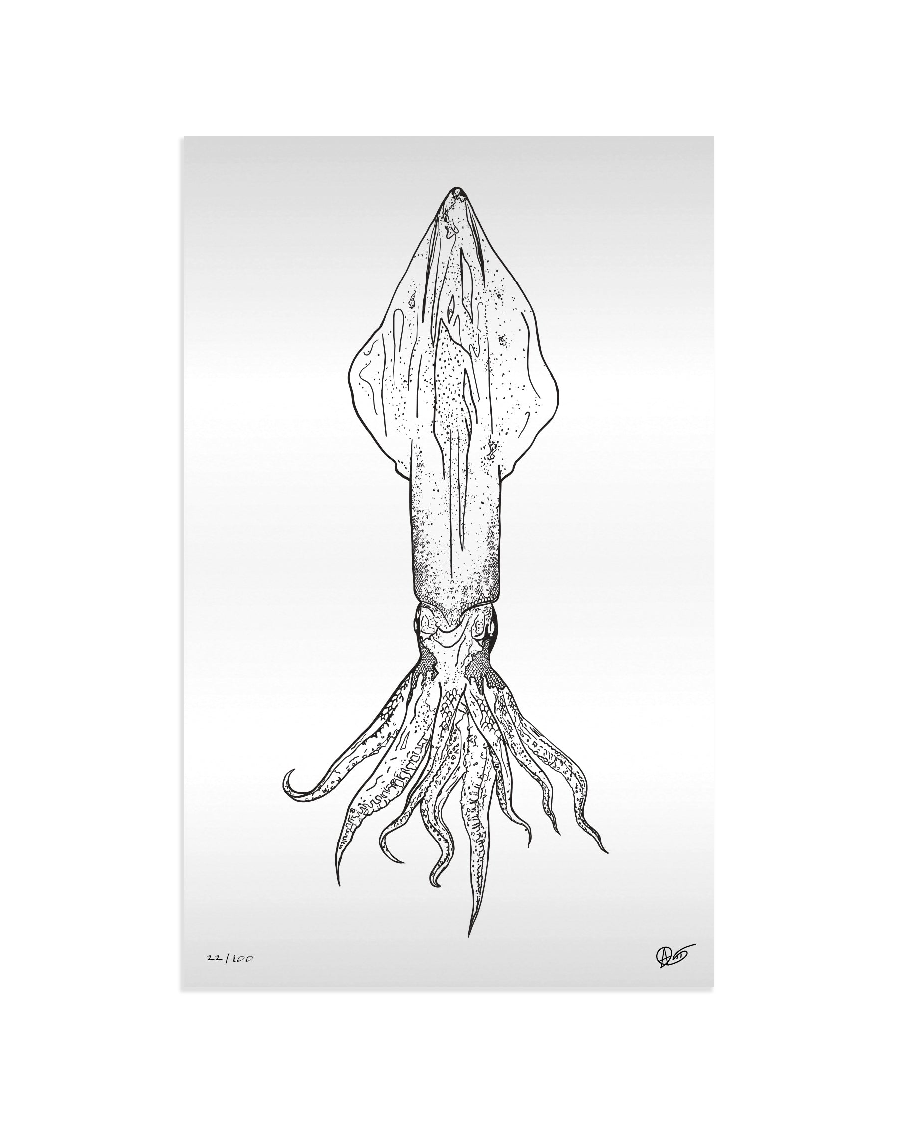 Limited Edition Squid Metal Print