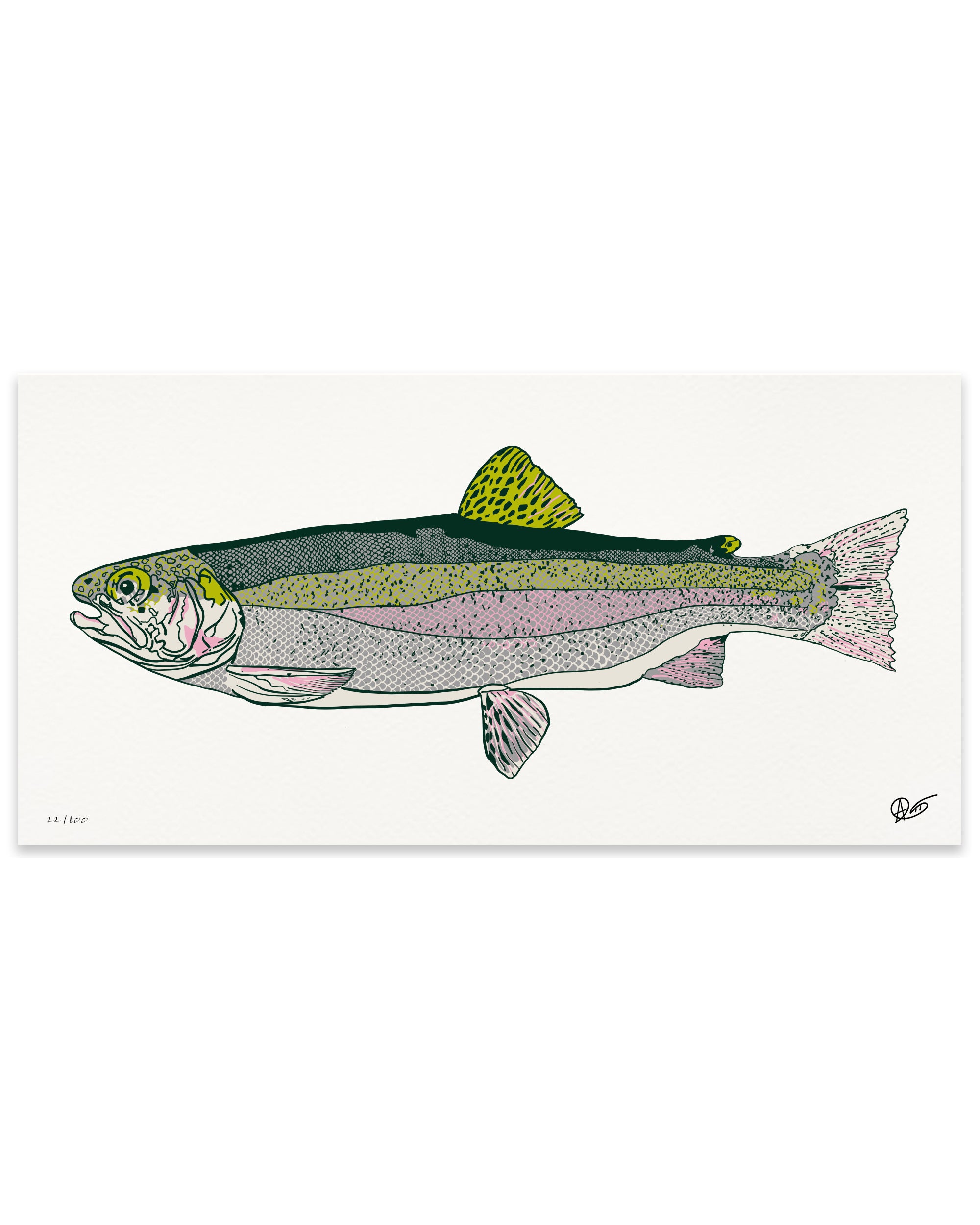 Limited Edition Rainbow Trout Canvas Print