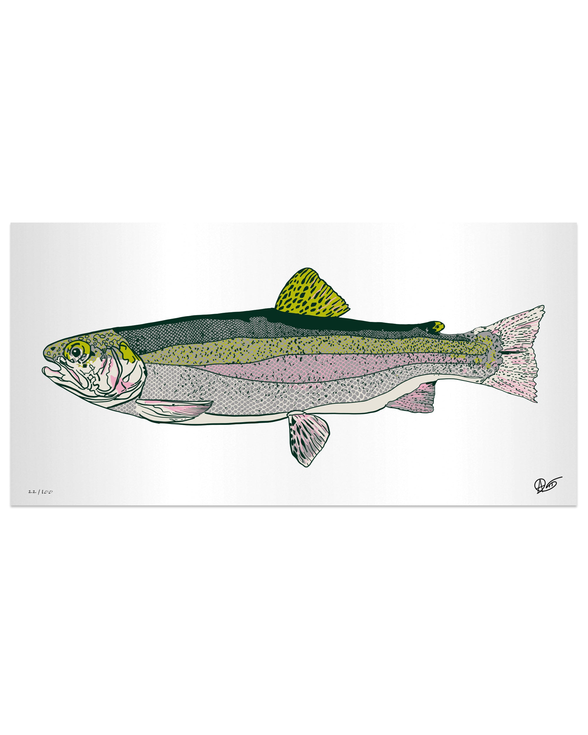 Limited Edition Rainbow Trout Metal Print