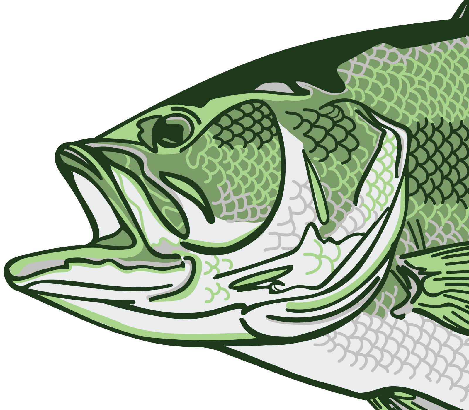 Details of bass artwork