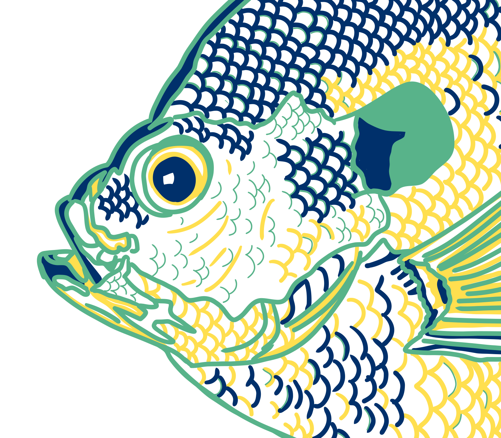 Details of bluegill artwork