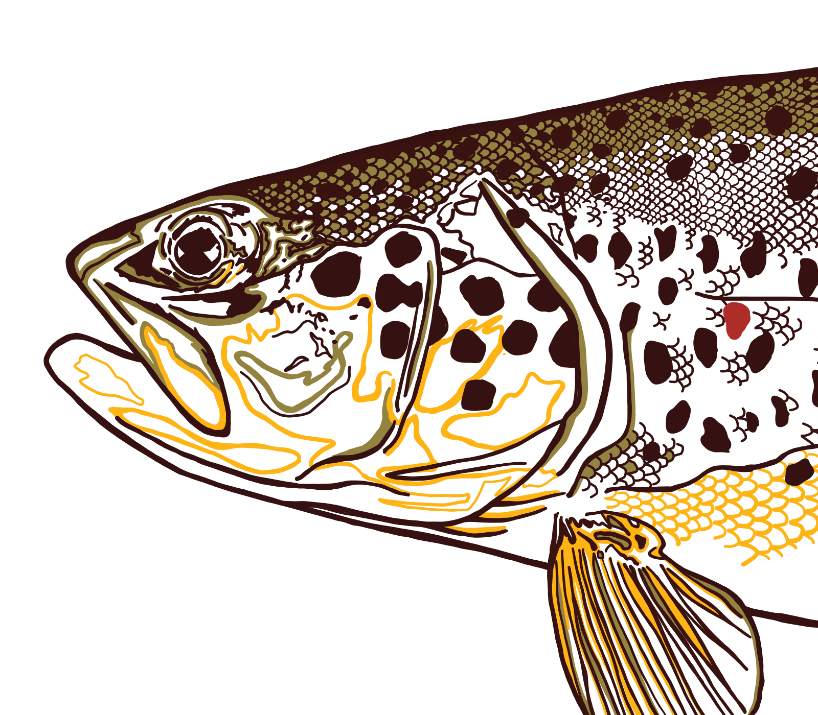 Details of brown trout artwork