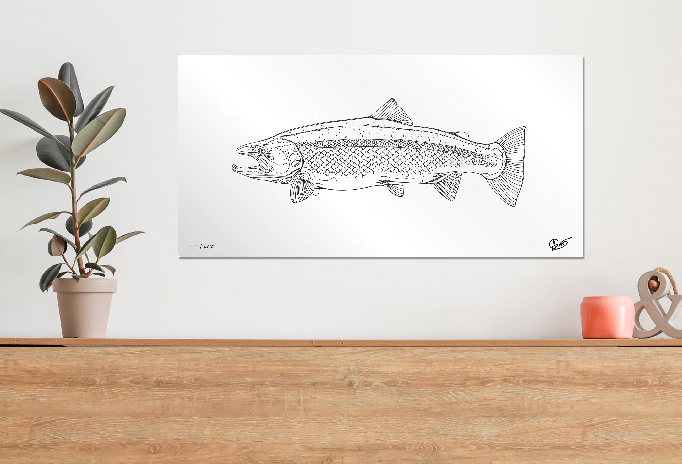 Limited edition steelhead metal print above a dresser