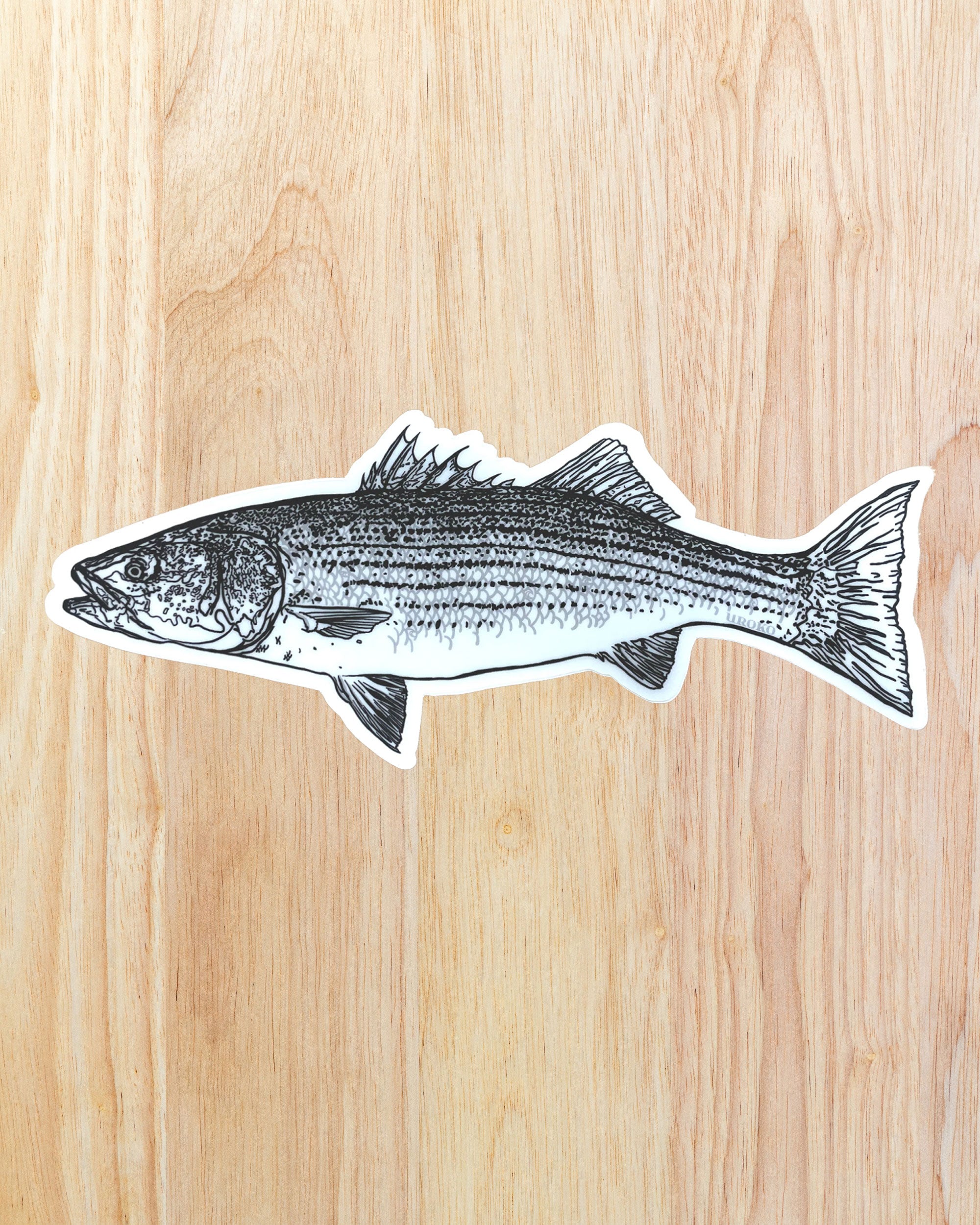 striped bass sticker