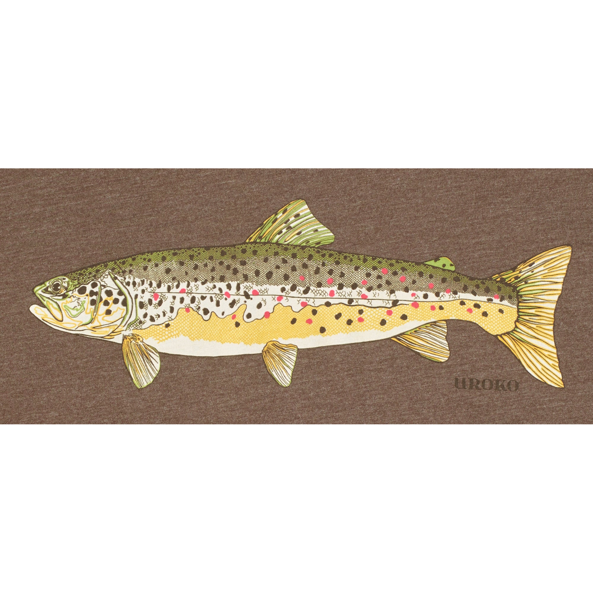 Brown Trout Illustration