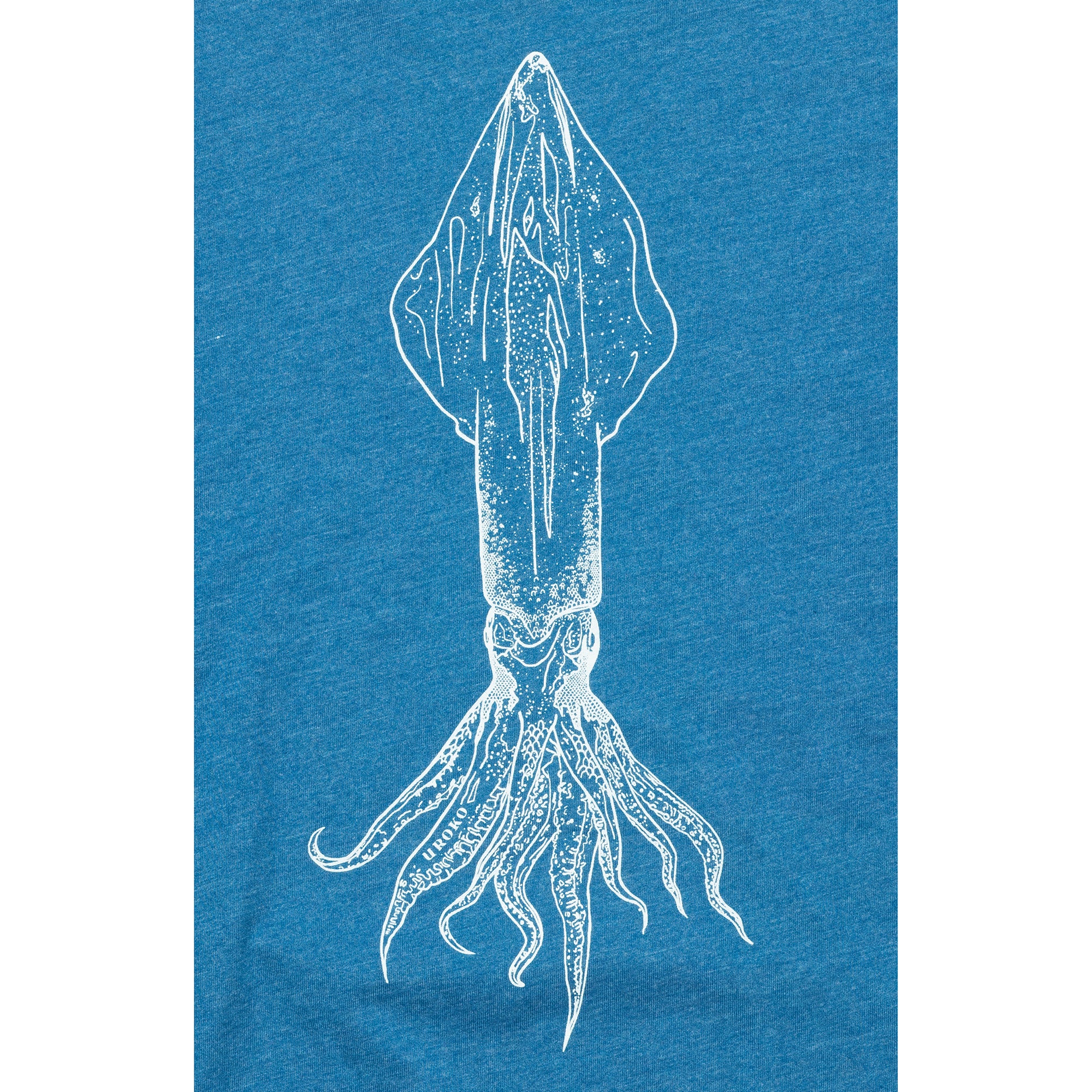 Market Squid Artwork