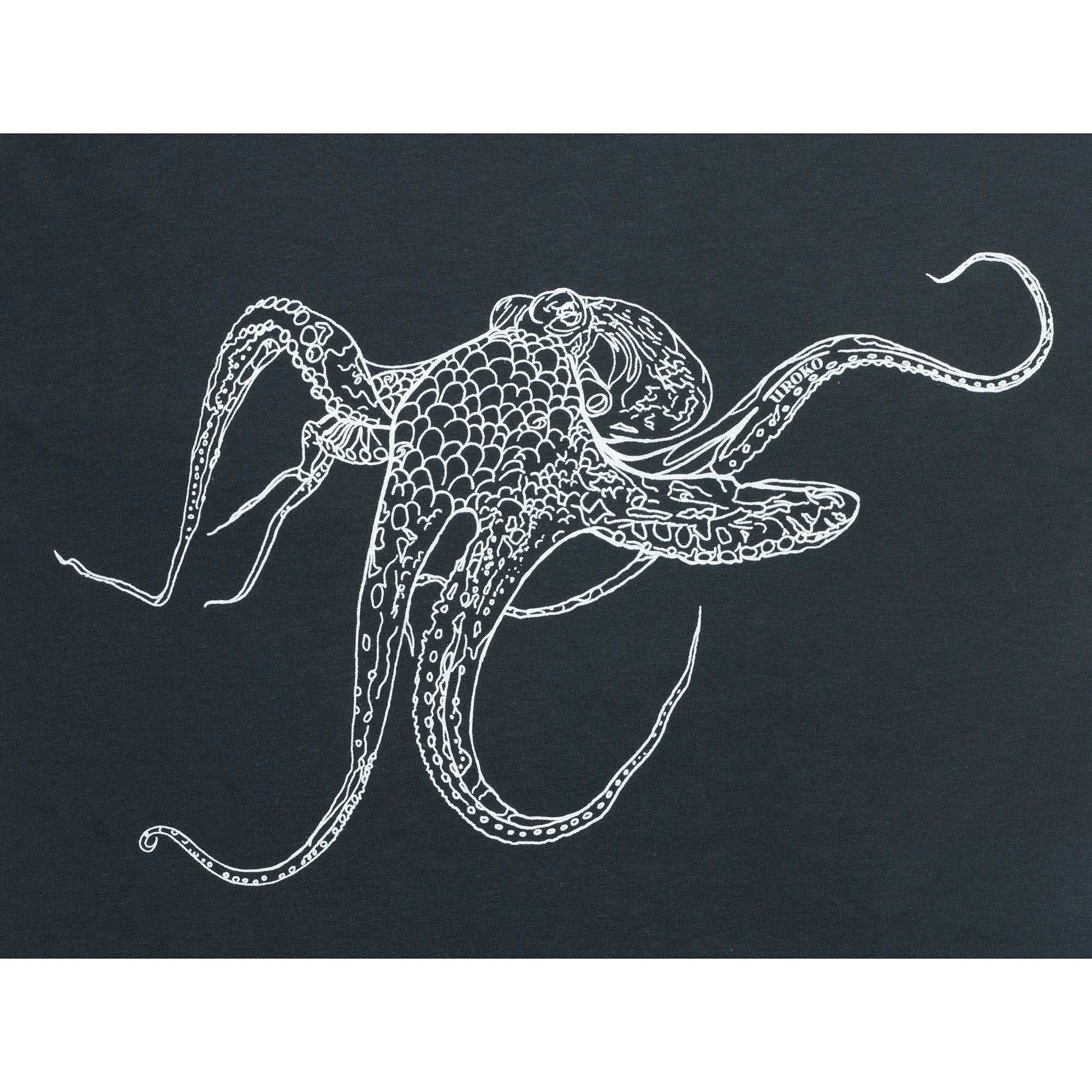 Giant Octopus Artwork